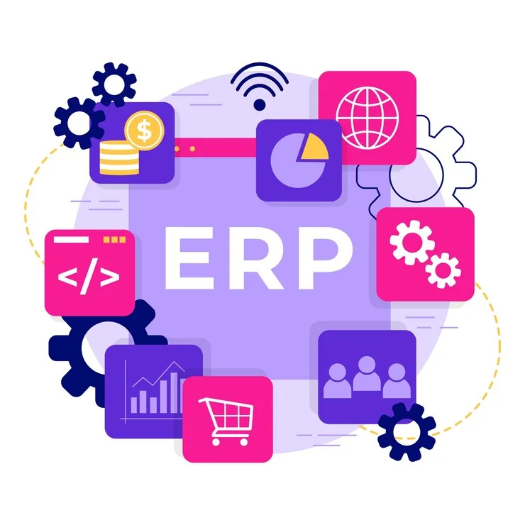 ERP Custom Development