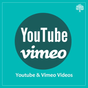 Opencart Add Video to Product - Image1