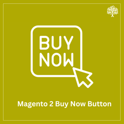  Magento 2 Buy Now Button