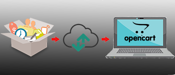 How to imports data from Purpletree Bulk product update extension