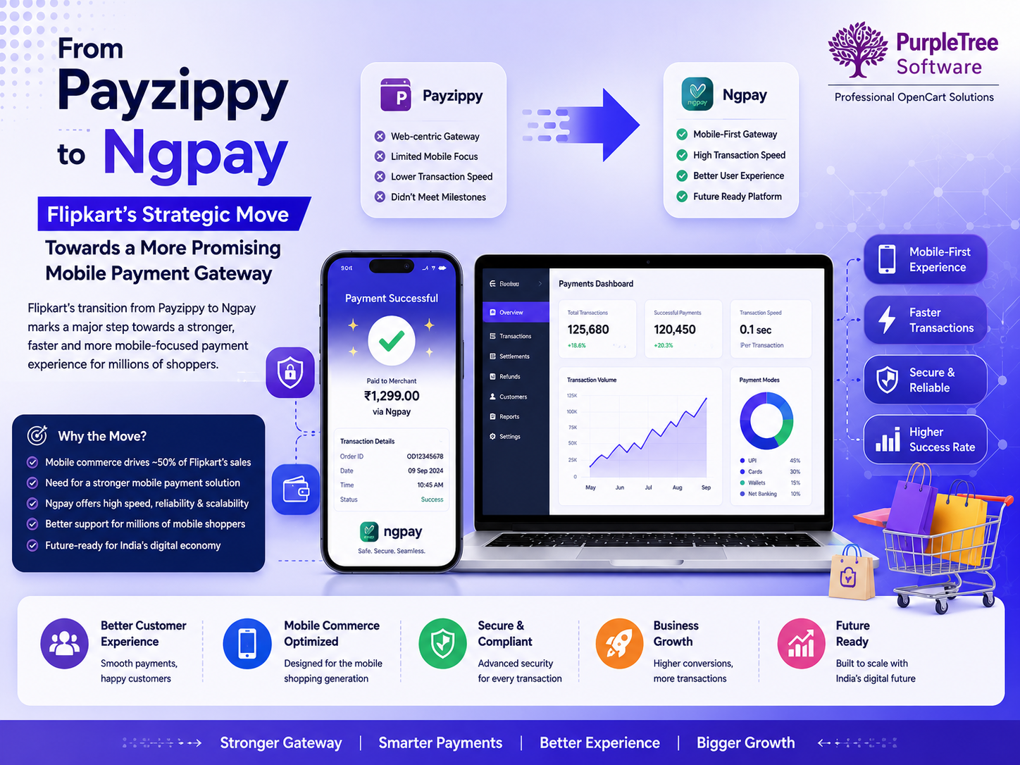From Payzippy to Ngpay: Flipkart’s Strategic Move towards More Promising Gateway
