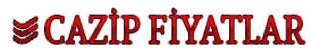 Logo 13